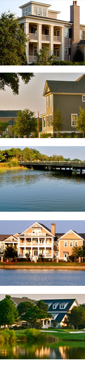 Daniel Island SC Homes Daniel Island SC Homes