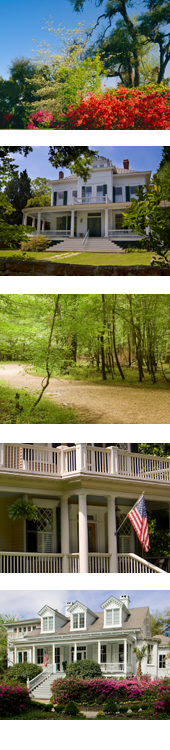 Summerville Homes
