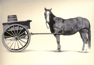  Avoid putting the cart before the horse when finding homes for sale in Charleston SC