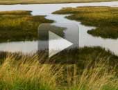 James Island Video Tour