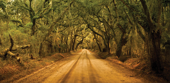 Slideshow Image6