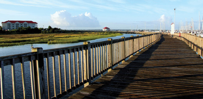 Slideshow Image7