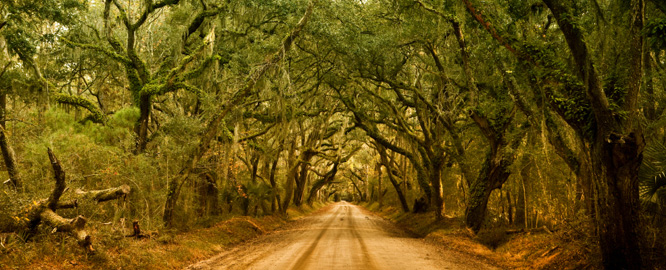 Slideshow Image3